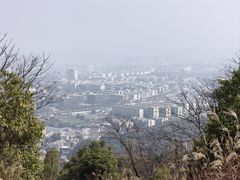 -桃花岭景区