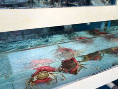 -原龙海鲜大排档(美食地标店)