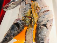 -蜀滋香鲜鱼美蛙火锅(339店)