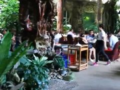 -绿光森林餐厅