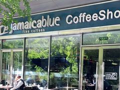 -JamaicaBlue(新城国际店)