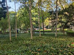 -徐家汇源景区-衡山公园