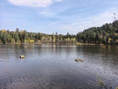 -五营红松林海景区