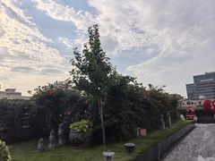 -悦融·京鲁菜·露台花园(安定门店)