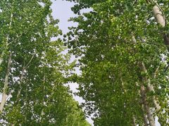 -喜虾客·大虾火锅(郑州无限城店)