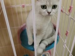 -青春加萌照相馆