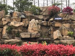 -上海长兴岛郊野公园