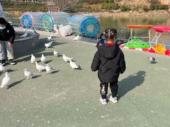 -安徽大青山野生动物世界