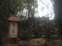 -三江森林温泉度假区