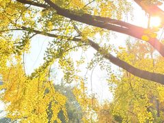 -康熙养生SPA·轻奢足道(江宁万达店)