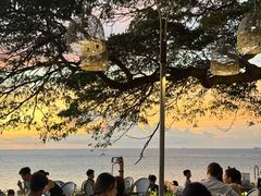 -网红落日悬崖餐厅 The Sky Gallery