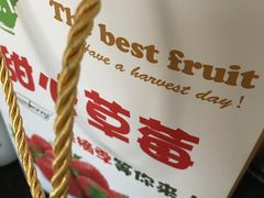 -甜心庄园·甜心草莓采摘园(西青中北店)