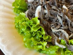 -民族饭荘(新华大街店)