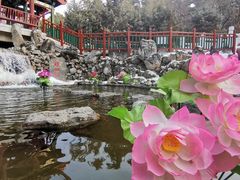 -红螺寺