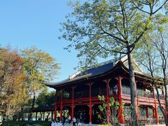 -顺峰山公园
