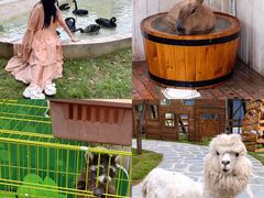 -南戴河国际娱乐中心