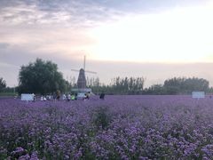 -渔岛海洋度假区