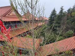 -开福禅寺