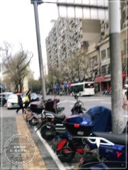 -金太子形象设计