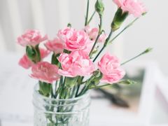 -小柴米·传统江西菜(万寿宫店)