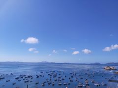 -枸杞岛