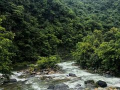 -石台牯牛降景区
