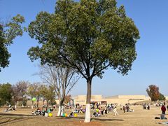 -盘龙城国家考古遗址公园