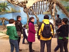 -自贡恐龙博物馆