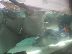 -新加坡水上探险乐园
