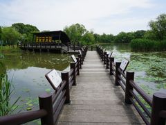 -长兴太湖图影湿地文化园