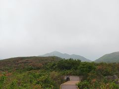 -大围山国家森林公园