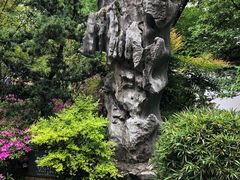 -汇龙潭