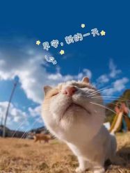 -妃格美发沙龙·烫发·染发