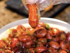 -夜小红炒虾尾(东大街店)