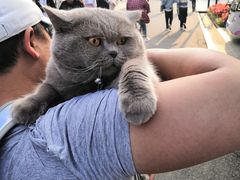 -书亦烧仙草(中南荟店)