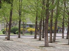-辽宁大学(崇山校区)