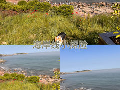 -燕儿岛山公园