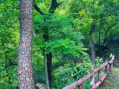 -飞霞风景名胜区