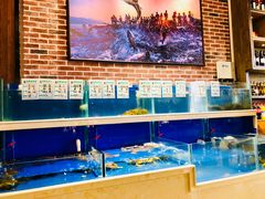 水产区-姜君·千岛湖鱼头馆(浦东大道店)