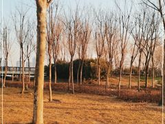 -北龙湖湿地公园