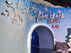 -海合安青岛极地海洋公园