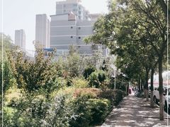 -吾穆勒蓬灰牛肉面·清真(北滨河中路店)