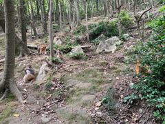 -黔灵山公园