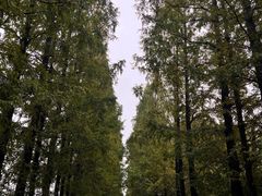 -嘉北郊野公园