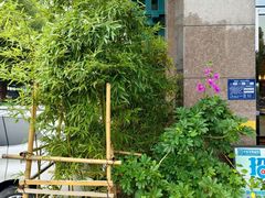 -华雅·云缦酒店(岳阳楼区火车站店)