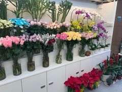 -花草间花行(法华镇路店)
