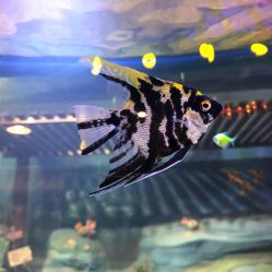 -酷嗒动物文化乐园(cutezoo西溪乐天城店)