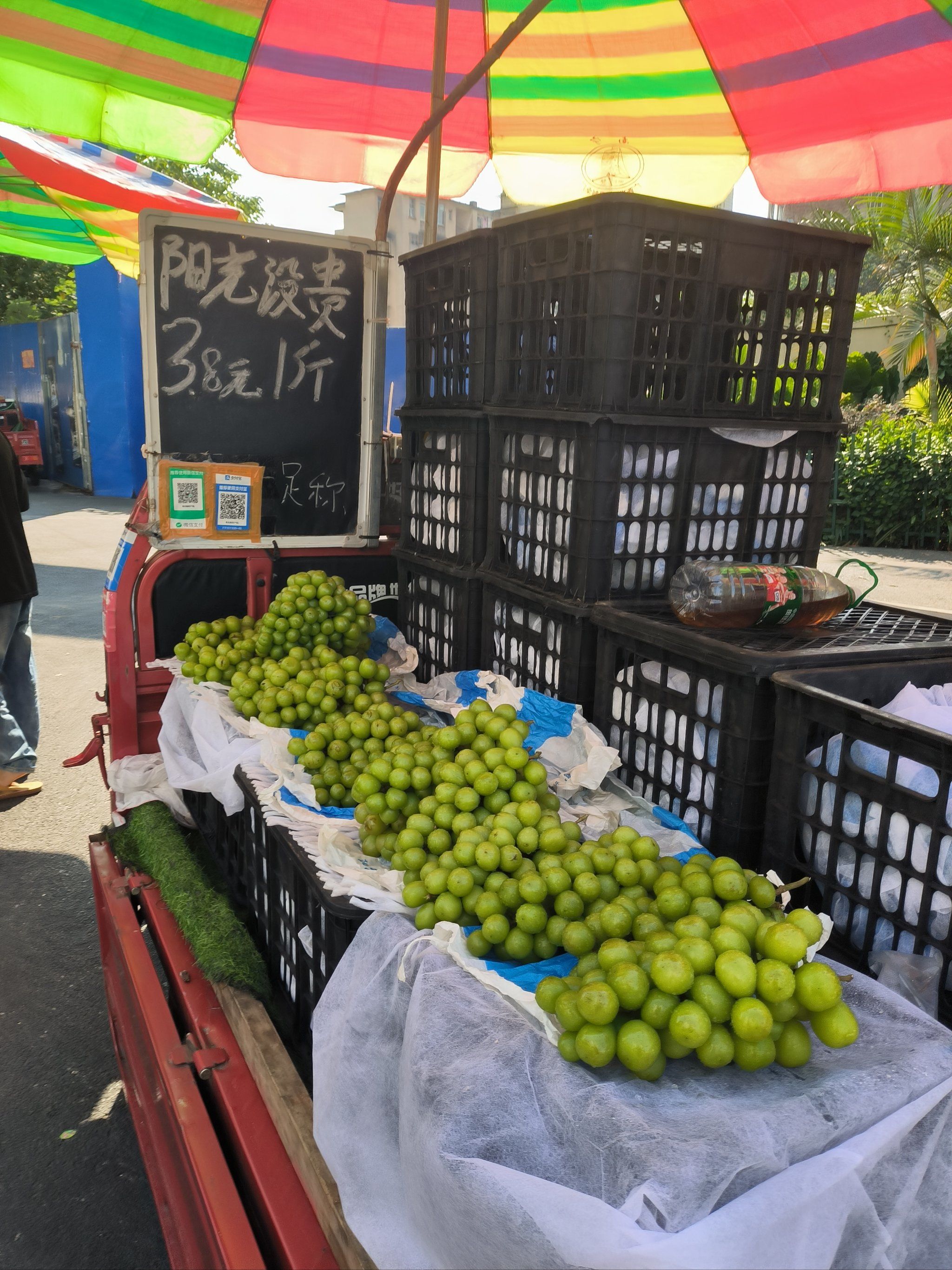 南宁,一个来了还想再来的城市