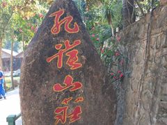 -西双版纳原始森林公园