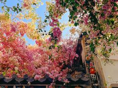 -深圳国际园林花卉博览园